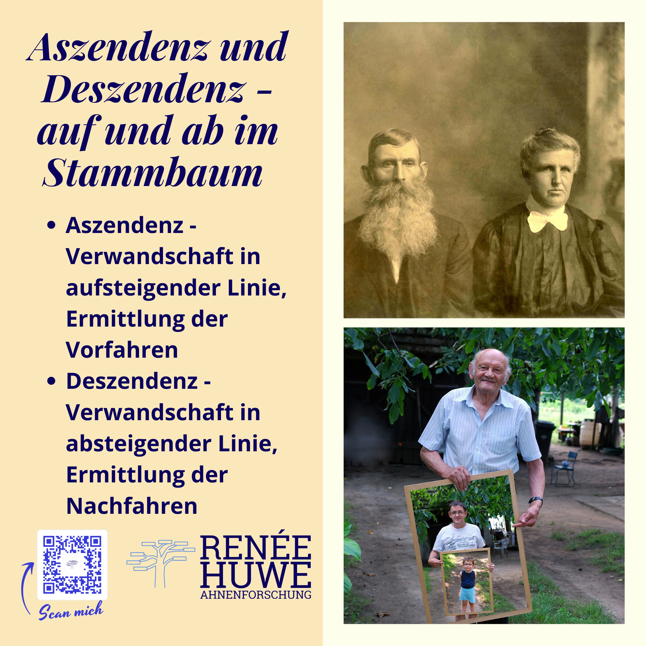 Aszendenz Deszendenz Stammbaum